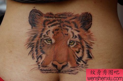 美女腰部一幅彩色虎头纹身图案