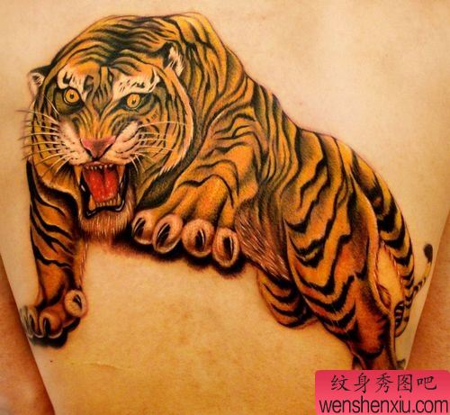 背部超酷的彩色老虎纹身图案