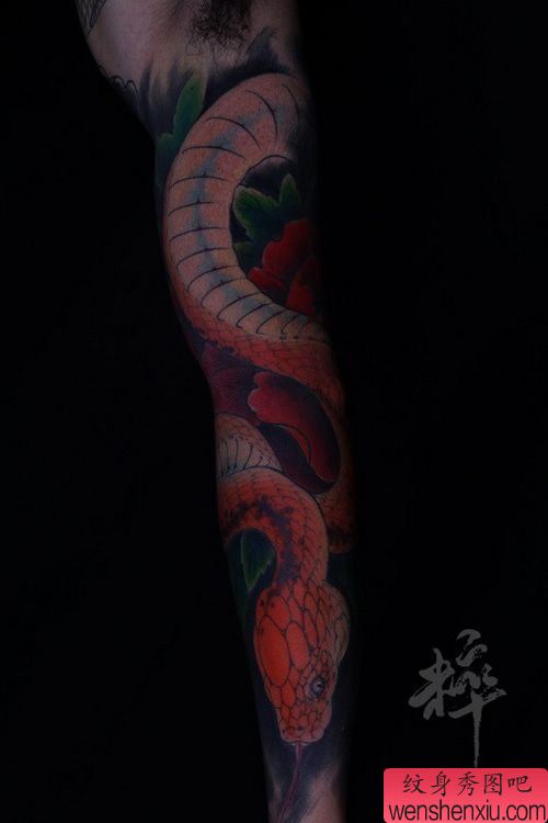 手臂精美的一幅彩色蛇与牡丹纹身图案