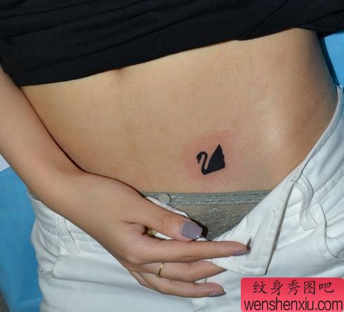 女孩子腹部图腾小天鹅纹身图案