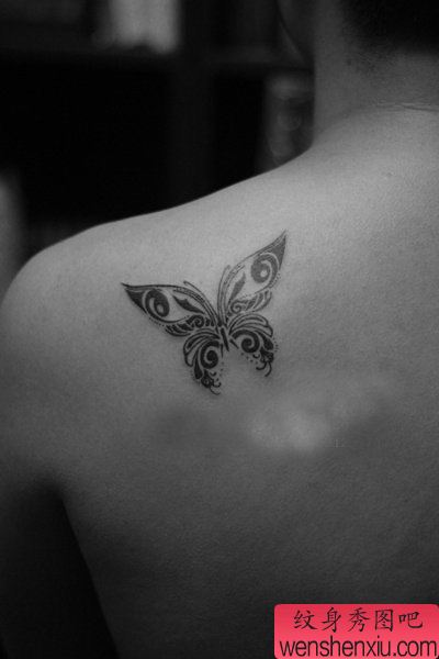 男生肩背精美的图腾蝴蝶纹身图案