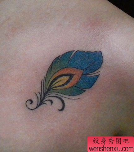 女孩子胸部小巧唯美的孔雀羽毛纹身图案