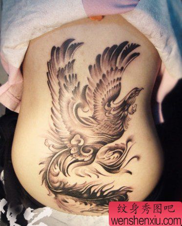 美女腰部精美的一幅黑灰凤凰纹身图案