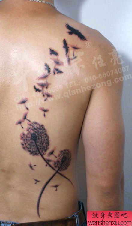 男性背部一幅时尚的蒲公英纹身图案
