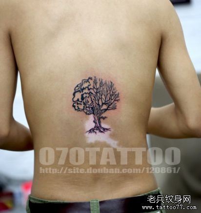 男生背部时尚的图腾树纹身图案