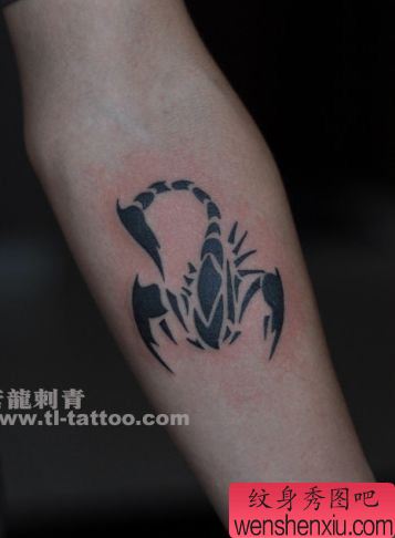 经典时尚的手臂图腾蝎子纹身图案