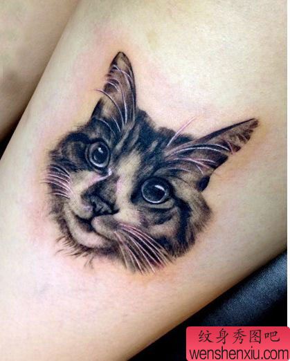 美女腿部猫咪头像纹身图案