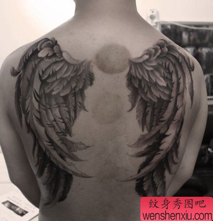 一幅简单的满背翅膀纹身图案