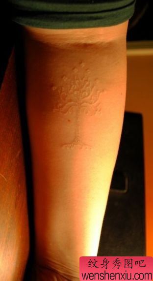 手臂一幅白色小树纹身图案