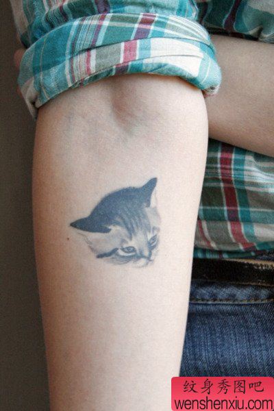 一幅手臂女孩子喜欢的小猫咪纹身图案