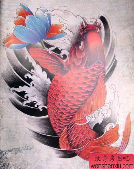 为大家分享一幅漂亮的鲤鱼莲花纹身手稿