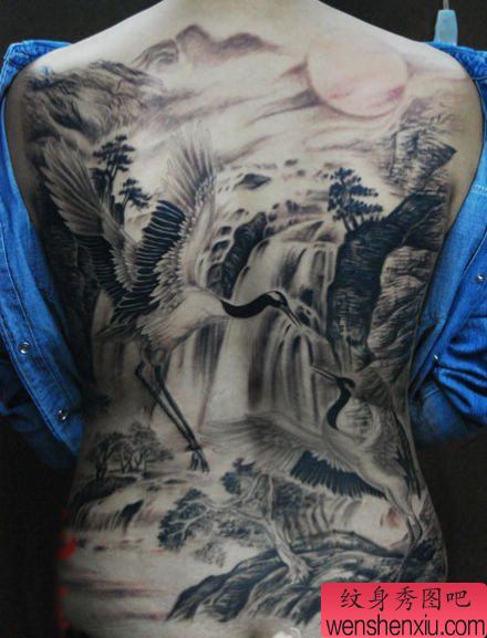 美女满背仙鹤白鹤纹身图案
