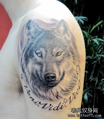 男生手臂经典的狼头纹身图案