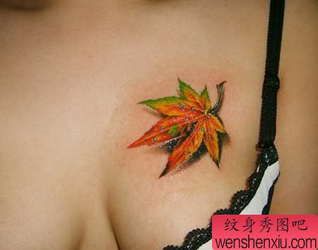 美女胸部漂亮的彩色枫叶纹身图案