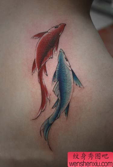 肩背唯美漂亮的小鲤鱼纹身图案