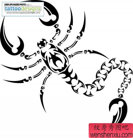 一幅好看的图腾蝎子纹身图案