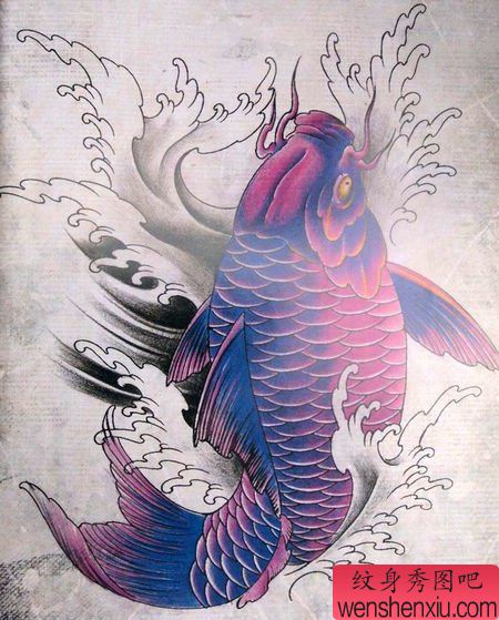 漂亮的彩色鲤鱼纹身手稿