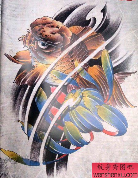 漂亮好看的彩色金鱼与菊花纹身手稿