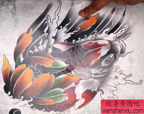 漂亮的彩色荷花与鲤鱼纹身手稿