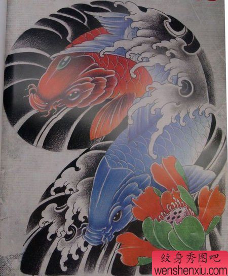 好看的彩色半胛鲤鱼纹身手稿