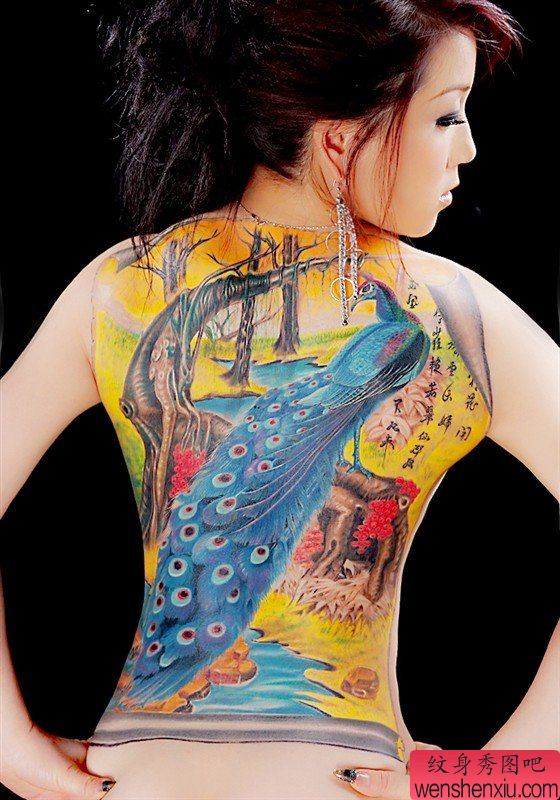 美女背部漂亮的彩色满背孔雀纹身图案