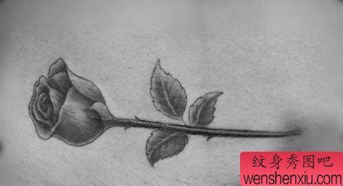 美女腹部疤痕遮盖黑灰玫瑰花纹身图案