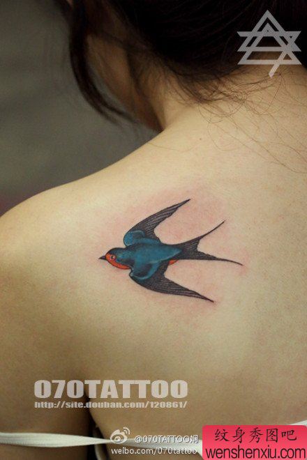 女生肩背彩色小燕子纹身图案