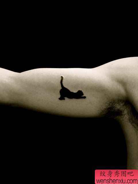 男生手臂可爱的图腾猫咪纹身图案