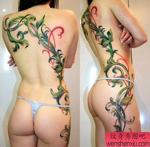 美女背部唯美好看的藤蔓纹身图案