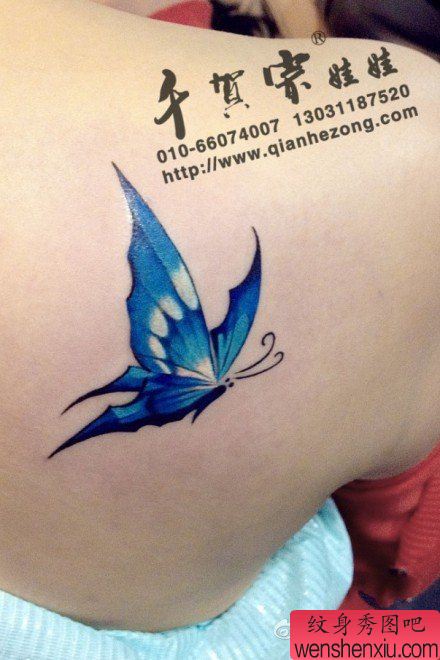 美女肩背好看精美的彩色蝴蝶纹身图案