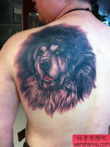 男性肩背霸气的藏獒纹身图案