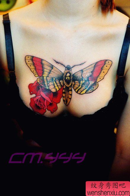 美女前胸漂亮的彩色蝴蝶纹身图案