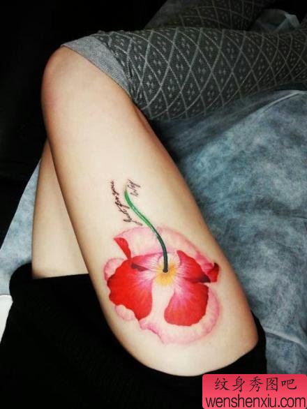 美女腿部漂亮的彩色罂粟花纹身图案