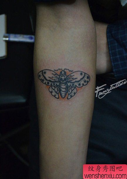 手臂一幅清晰精美的蝴蝶纹身图案