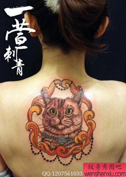 女生背部一幅猫咪纹身图案