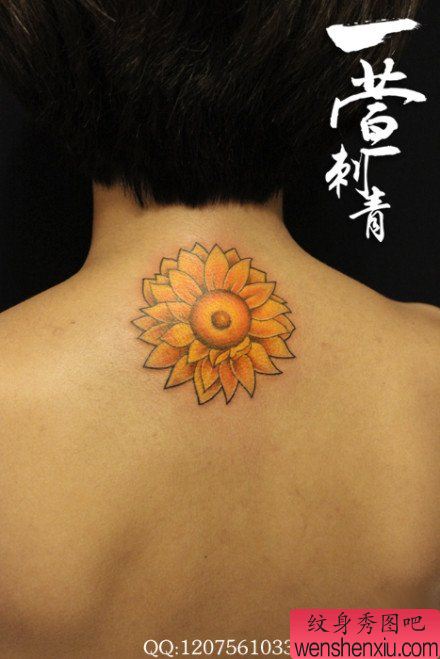 女生背部好看的向日葵花纹身图案
