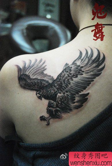 女生肩背超酷的老鹰纹身图案