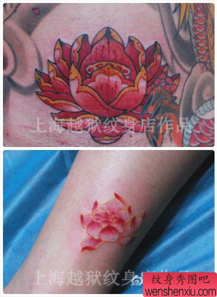 一组漂亮的彩色莲花纹身图案