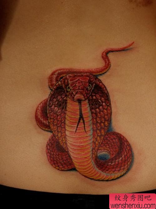 腰部好看的彩色眼镜蛇纹身图案