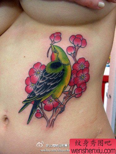 女性腹部彩色小鸟纹身图案