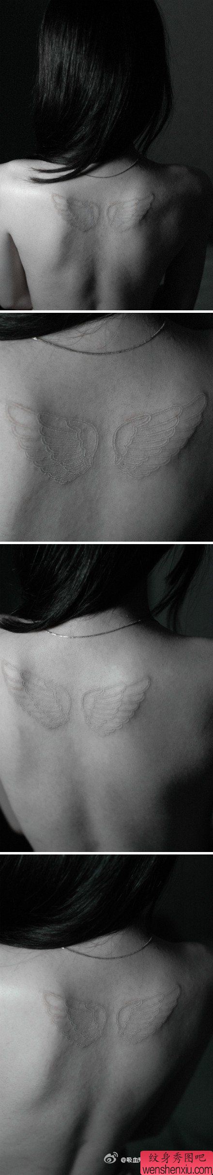 女孩子背部简单唯美的白色翅膀纹身图案