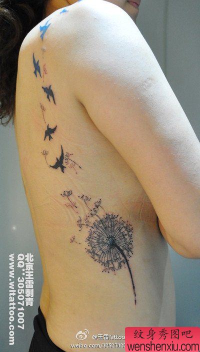 美女侧腰到背部蒲公英与燕子纹身图案