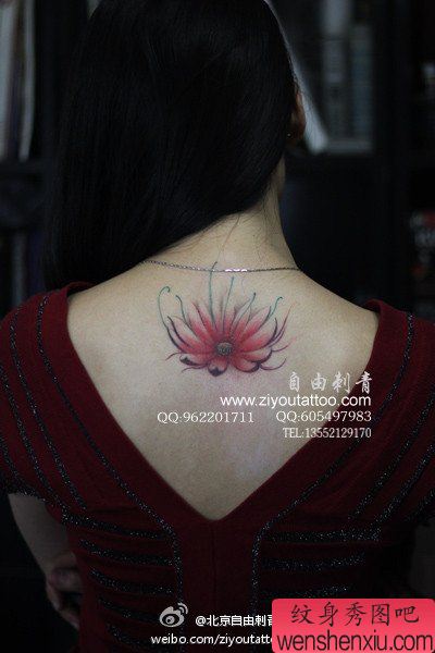 女生背部漂亮的莲花纹身图案