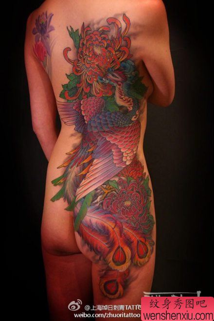 女性背部侧腰到臀部好看的彩色凤凰纹身图案