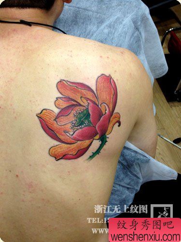 男性肩背好看的彩色莲花纹身图案