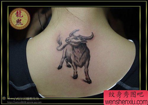 女生背部一幅公牛纹身图案