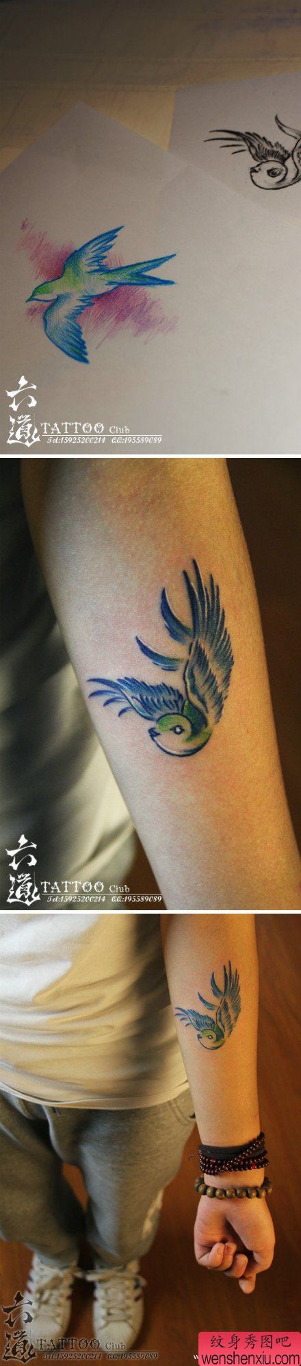 女生手臂彩色小燕子纹身图案