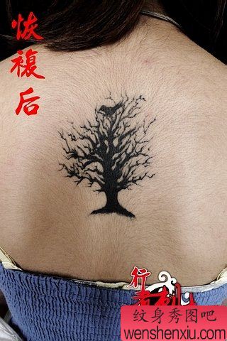 女生背部精美的图腾树与小鸟纹身图案