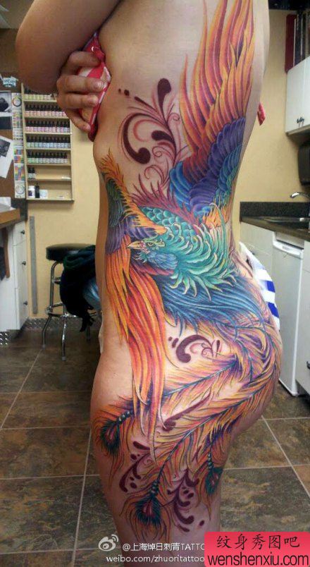 女生侧腰到腿部超漂亮好看的凤凰纹身图案