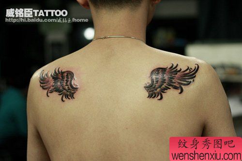 男性背部唯美的黑灰小翅膀纹身图案